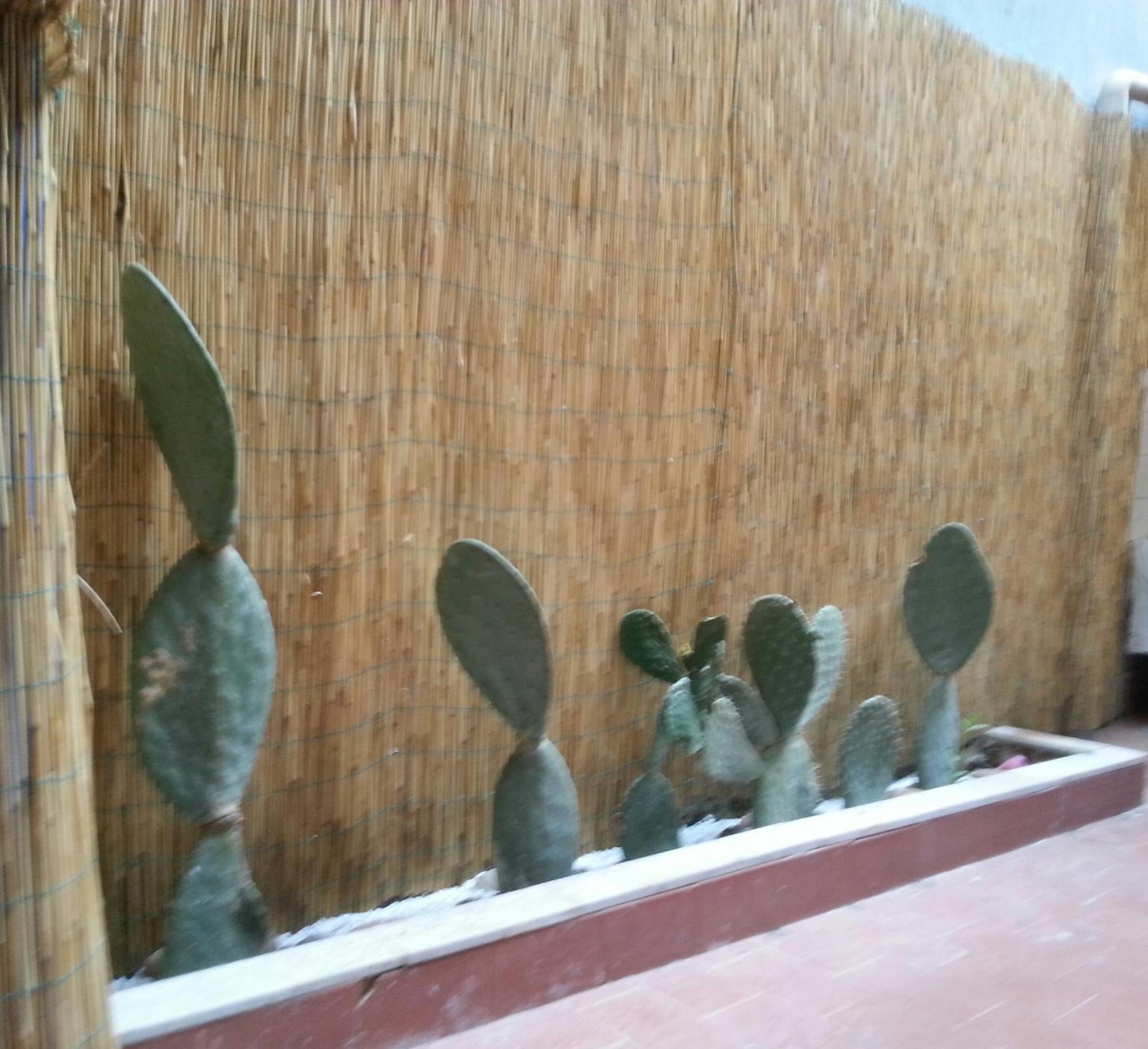 Catania Apartment Liotro Zewnętrze zdjęcie